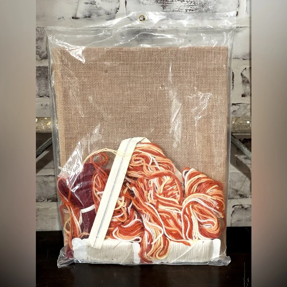 Vintage Bucilla 4803 Harmony Pulled Thread Needlepoint Pillow Kit Sealed Boho